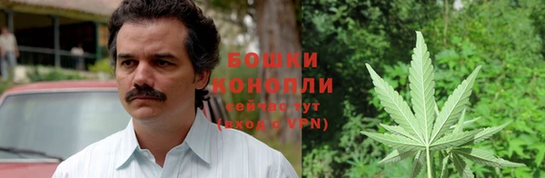 хмурый Липки