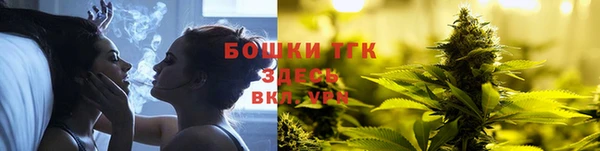 хмурый Липки