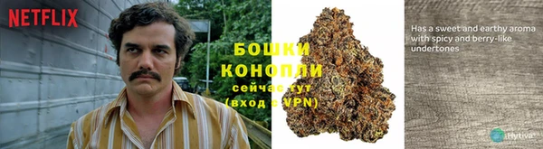 хмурый Липки